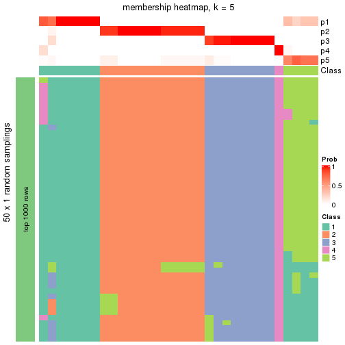 plot of chunk tab-node-0111-membership-heatmap-4