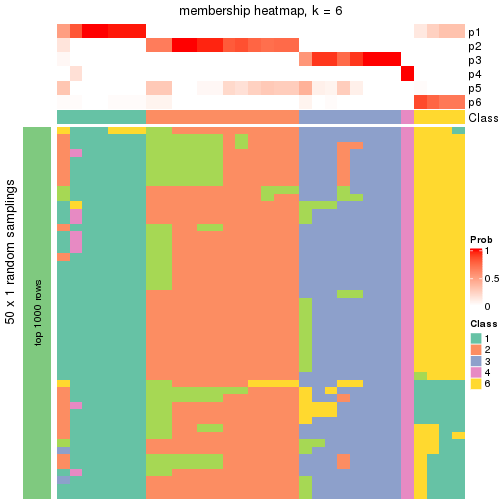 plot of chunk tab-node-0111-membership-heatmap-5