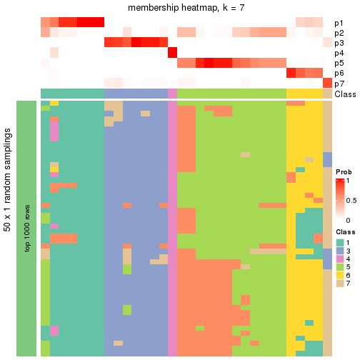 plot of chunk tab-node-0111-membership-heatmap-6