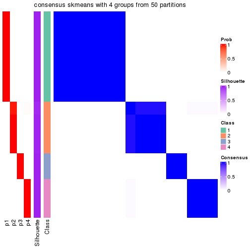 plot of chunk tab-node-0113-consensus-heatmap-3