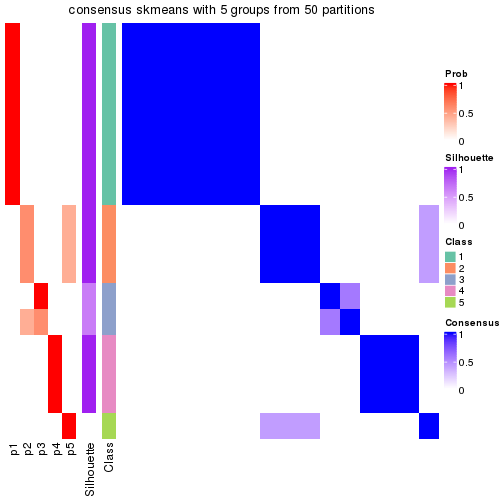 plot of chunk tab-node-0113-consensus-heatmap-4