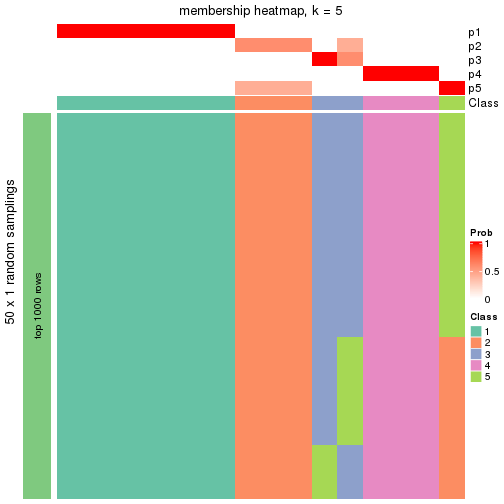 plot of chunk tab-node-0113-membership-heatmap-4