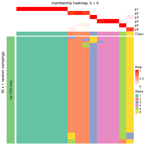 plot of chunk tab-node-0113-membership-heatmap-5