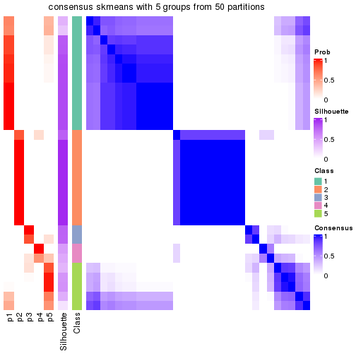 plot of chunk tab-node-012-consensus-heatmap-4