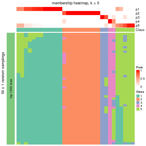 plot of chunk tab-node-012-membership-heatmap-4