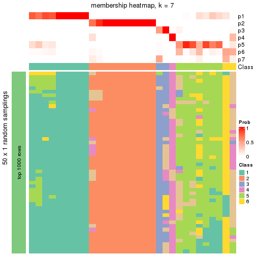 plot of chunk tab-node-012-membership-heatmap-6