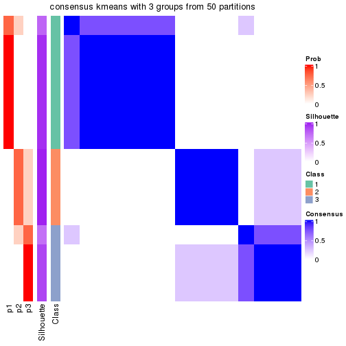 plot of chunk tab-node-0121-consensus-heatmap-2