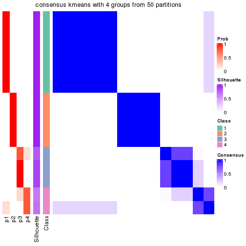 plot of chunk tab-node-0121-consensus-heatmap-3