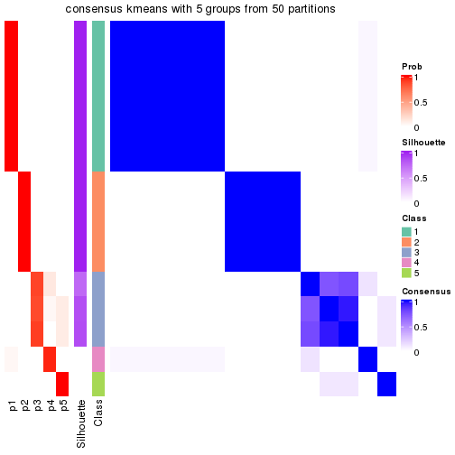 plot of chunk tab-node-0121-consensus-heatmap-4