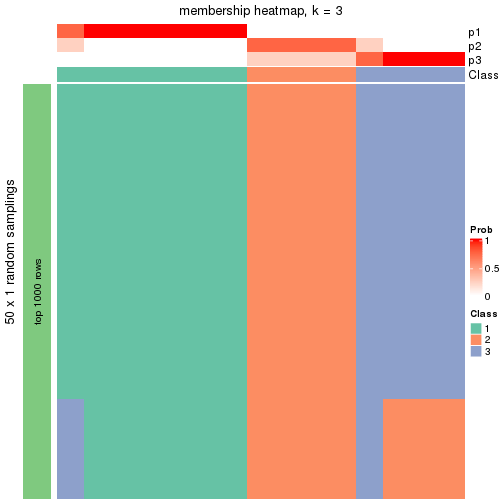 plot of chunk tab-node-0121-membership-heatmap-2