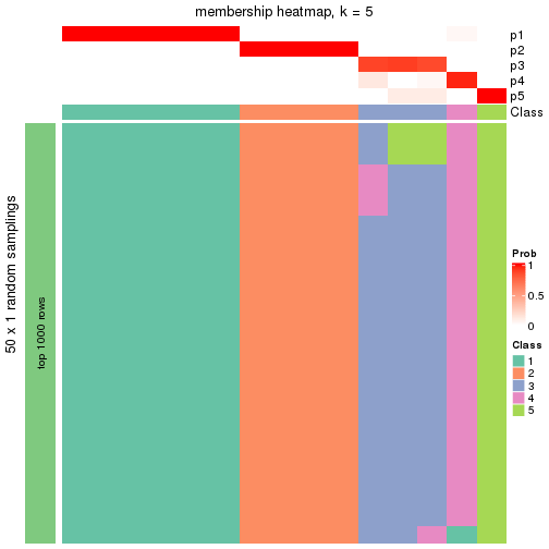 plot of chunk tab-node-0121-membership-heatmap-4