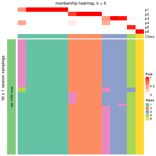 plot of chunk tab-node-0121-membership-heatmap-5