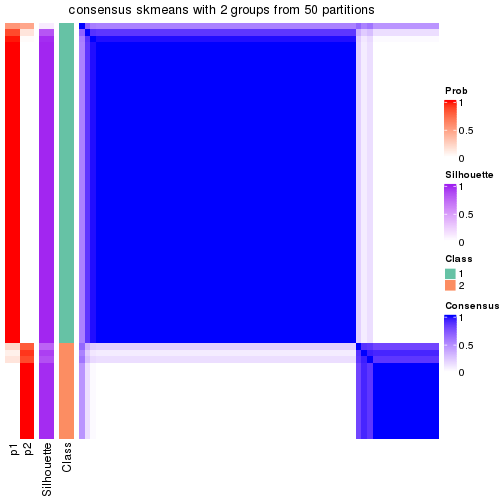 plot of chunk tab-node-013-consensus-heatmap-1