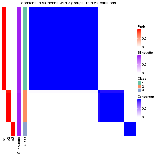 plot of chunk tab-node-013-consensus-heatmap-2