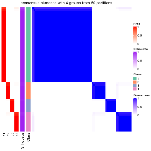 plot of chunk tab-node-013-consensus-heatmap-3