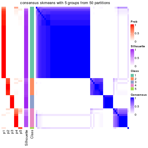 plot of chunk tab-node-013-consensus-heatmap-4