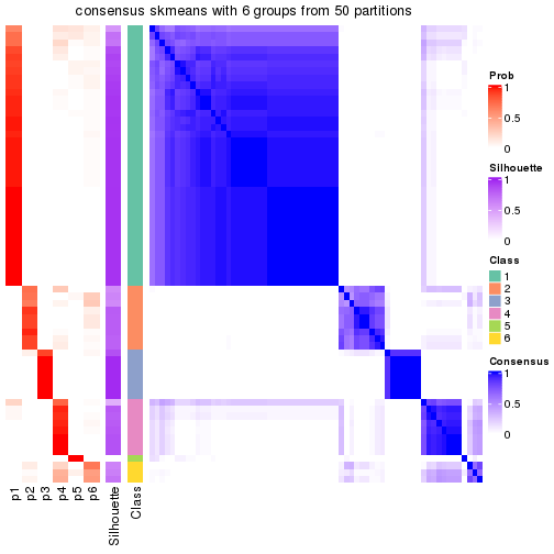 plot of chunk tab-node-013-consensus-heatmap-5