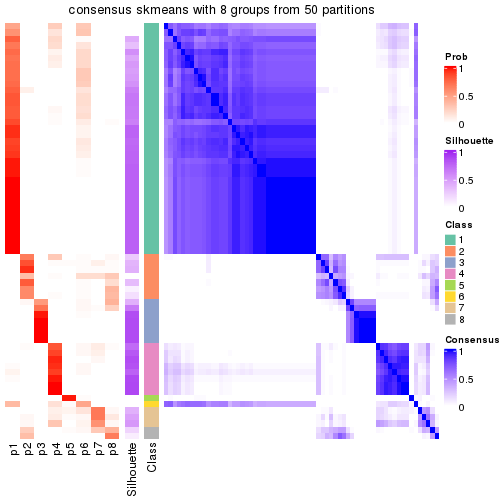 plot of chunk tab-node-013-consensus-heatmap-7