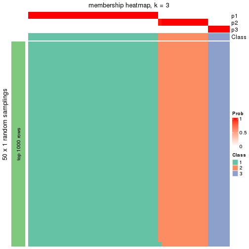 plot of chunk tab-node-013-membership-heatmap-2