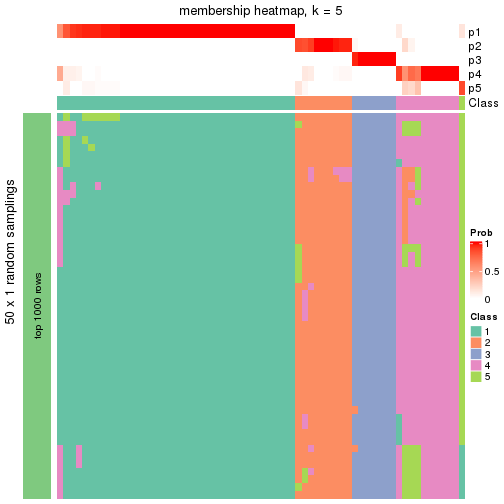 plot of chunk tab-node-013-membership-heatmap-4