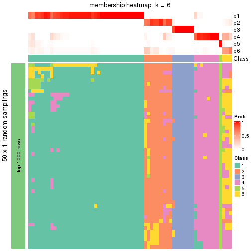 plot of chunk tab-node-013-membership-heatmap-5