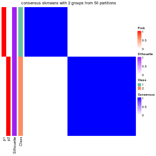 plot of chunk tab-node-0131-consensus-heatmap-1