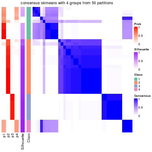 plot of chunk tab-node-0131-consensus-heatmap-3