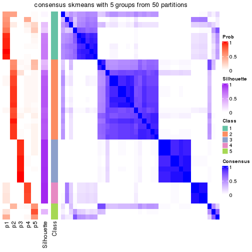 plot of chunk tab-node-0131-consensus-heatmap-4