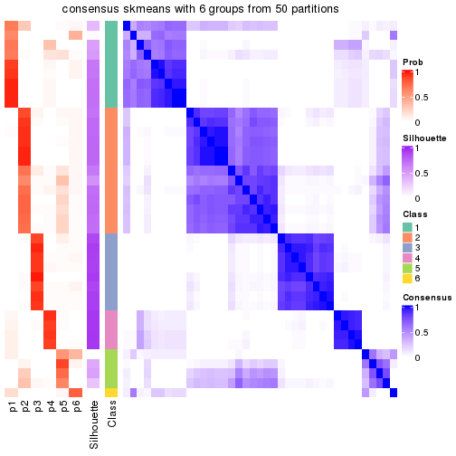 plot of chunk tab-node-0131-consensus-heatmap-5