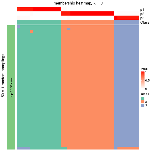 plot of chunk tab-node-0131-membership-heatmap-2