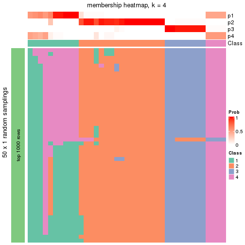 plot of chunk tab-node-0131-membership-heatmap-3