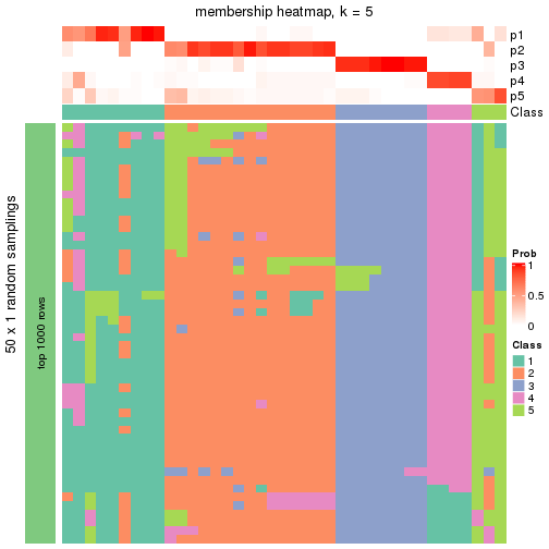 plot of chunk tab-node-0131-membership-heatmap-4