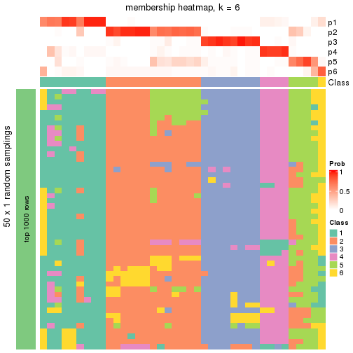 plot of chunk tab-node-0131-membership-heatmap-5