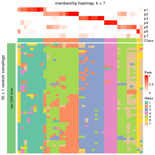 plot of chunk tab-node-0131-membership-heatmap-6