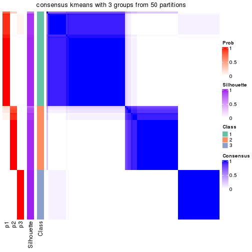 plot of chunk tab-node-02-consensus-heatmap-2