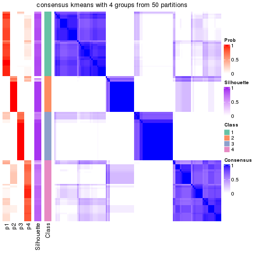 plot of chunk tab-node-02-consensus-heatmap-3