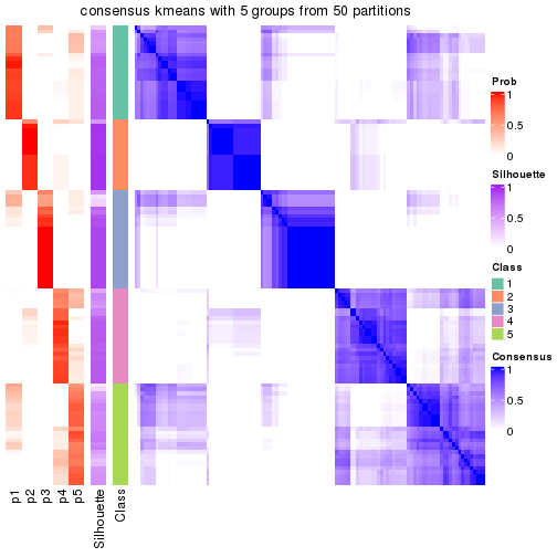 plot of chunk tab-node-02-consensus-heatmap-4