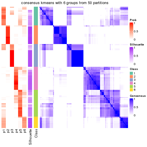 plot of chunk tab-node-02-consensus-heatmap-5