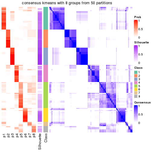 plot of chunk tab-node-02-consensus-heatmap-7