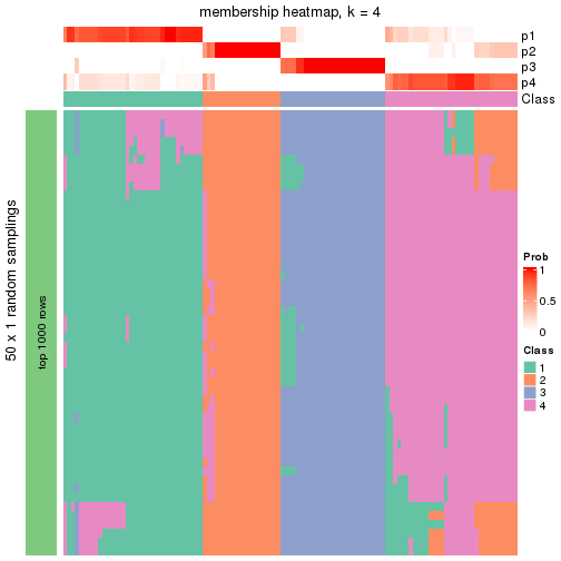 plot of chunk tab-node-02-membership-heatmap-3