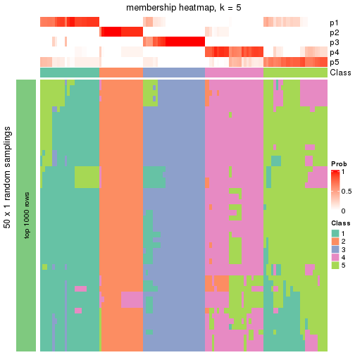 plot of chunk tab-node-02-membership-heatmap-4