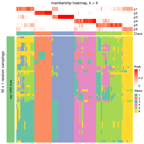 plot of chunk tab-node-02-membership-heatmap-5