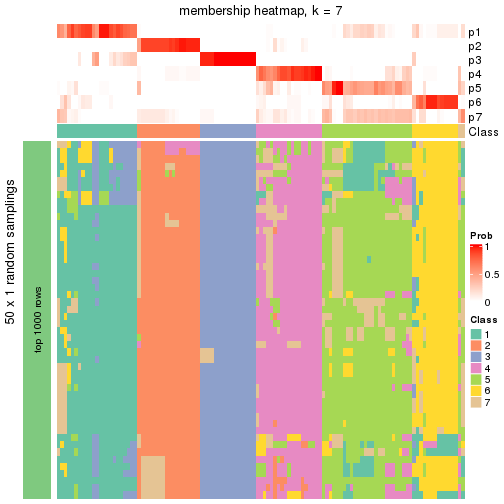 plot of chunk tab-node-02-membership-heatmap-6