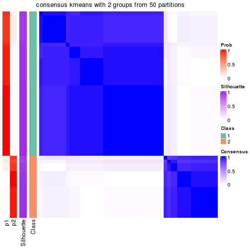 plot of chunk tab-node-021-consensus-heatmap-1