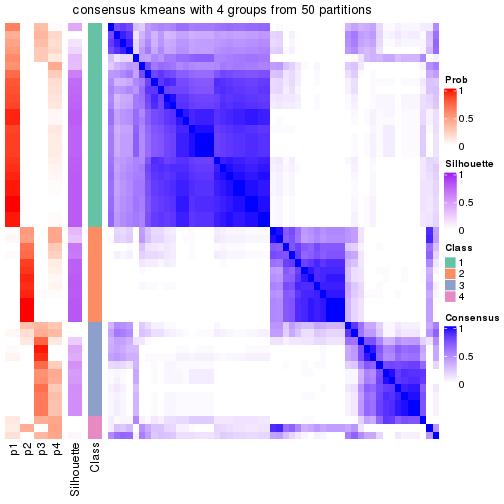 plot of chunk tab-node-021-consensus-heatmap-3