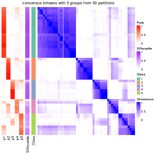 plot of chunk tab-node-021-consensus-heatmap-4