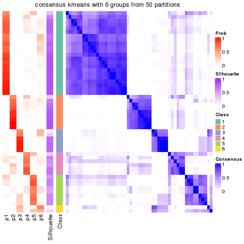 plot of chunk tab-node-021-consensus-heatmap-5