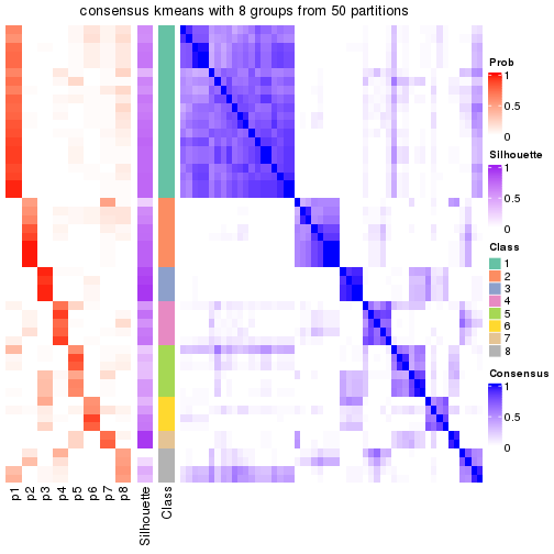 plot of chunk tab-node-021-consensus-heatmap-7