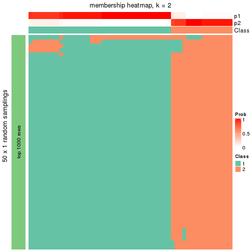 plot of chunk tab-node-021-membership-heatmap-1