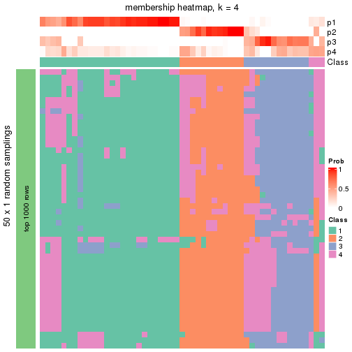 plot of chunk tab-node-021-membership-heatmap-3